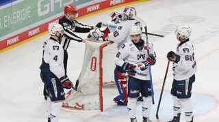 Die Adler Mannheim gegen die Eisbären Berlin.