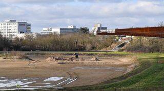 Im Augewässer, darüber der Panoramasteg, ist derzeit das Wasser abgelassen. Nur der Regen sorgt für Pfützen.