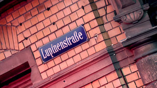 Die Lupinenstraße in Mannheim ist immer wieder Diskussionsthema. In einem 2022 laufenden Prozess war sie es auch bei Gericht.