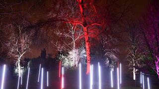 Licht-Skulpturen und mit Scheinwerfern in Szene gesetzte Bäume und Büsche kennzeichnen das Festival „Winterlichter“.