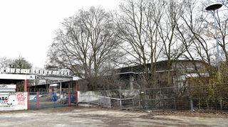 Damit die Bagger zum Abriss ans alte Eisstadion rankommen, müssen erst noch ein paar Bäume und Gebüsche abgeholzt werden.