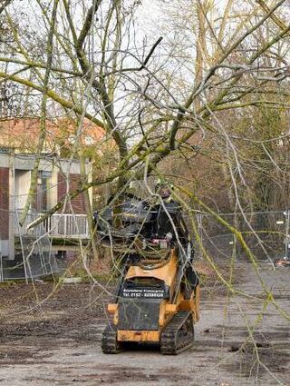 Mit einem Kompaktlader wird das Gehölz transportiert.