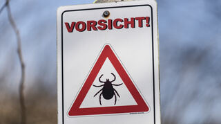 Warnung vor Zecken: Wer viel im Freien ist, sollte sich gegen FSME impfen lassen.