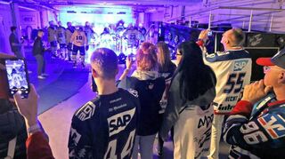 Jetzt geht’s los: die Adler beim Einlaufen, beobachtet von den Teilnehmerinnen und Teilnehmern der Morgentour.