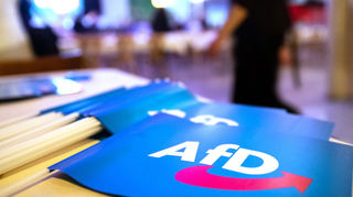 Nach einer Rede vom Ludwigshafener AfD-Fraktionschef Johannes Thiedig verließen die meisten Stadträte den Saal. (Symbolbild)