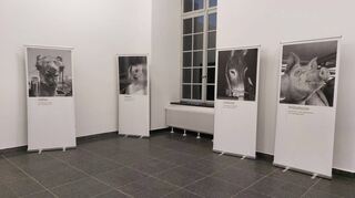 Die Tierschutzorganisation Animals’ Angels stellt aktuell zwölf Porträtfotos von Nutztieren in der Universität aus.