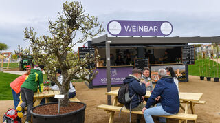 War ein enorm beliebter Treffpunkt: die Weinbar der Winzergenossenschaft auf dem Spinelli-Gelände.