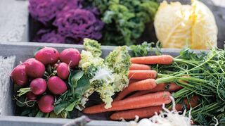 Wer später im Jahr leckeres Gemüse ernten will, muss jetzt den Garten vorbereiten.