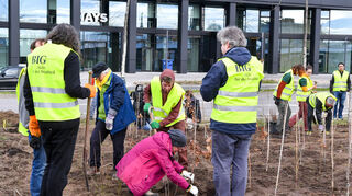 Baden-Württembergs erster Tiny Forest wird auf dem Lindenhof gepflanzt in Mannheim.