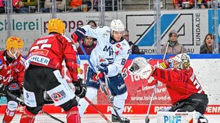 „Am Ende vom Tag willst du in Mannheim natürlich immer direkt in die Play-offs einziehen“, sagte Adler-Stürmer David Wolf (Mitte).