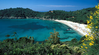 Blick auf die Bucht von Fetovaia: Gerade vor der Hochsaison ist Elba ein beliebtes Ziel für Wanderer.
