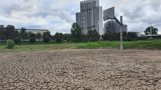 Rund einen Monat nach dem Hochwasser am Mannheimer Neckarufer ist der Basketballplatz unterhalb der Friedrich-Ebert-Brücke noch immer nicht bespielbar.