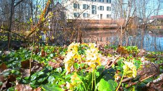Der Schlosspark beim Wasserschloss in Unterwittelsbach ist der reinste Märchengarten.