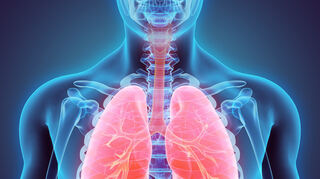 Regelmäßige Bewegung führt zu einer spürbaren Verbesserung der Lungenfunktion.