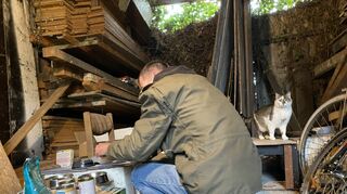 Scheu, aber auch dankbar: Die Katzen kennen den Tierschützer Marco Bernoth und freuen sich jedes Mal über seine Anwesenheit.