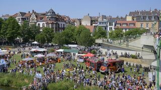 Der Aktionstag "Lebendiger Neckar" lockte regelmäßig Tausende Menschen zum Beispiel auf die Heidelberger Neckarwiese.