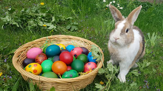 Ostern naht - in den Mannheimer Stadtteilen gibt es bis dahin viel zu Entdecken.