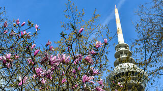 Der Frühling ist in Mannheim angekommen und im Luisenpark lässt sich der Einzug auch kulinarisch begrüßen.