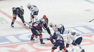 Die Adler Mannheim spielen in Berlin gegen die Eisbären im Play-off-Viertelfinale.
