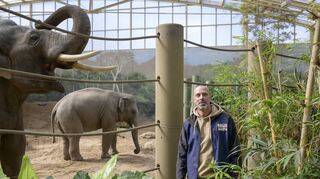 Der „Landesbeste Tierpflegemeister“ Tobias Kremer kümmert sich im Heidelberger Zoo unter anderem um die Elefanten.