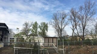 Ende Februar wurden rund ums alte Eisstadion Büsche und Bäume abgeholzt, um den Abriss vorzubereiten. Der Baustart für den ersten Neubau im nördlichen Teil des Friedrichsparks wird allerdings frühestens in fünf Jahren sein.
