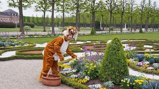 Der Osterhase kommt in die Schlossgärten der Sommerresidenz Schwetzingen (unser Bild) und von Schloss Bruchsal.