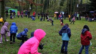 Eine Stunde lang dauerte es, bis die Eier verteilt waren. Die Kinder „grasten“ die Osterwiese im Vogelpark am Karlstern in rund 40 Sekunden ab.