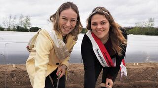 Lampertheims Spargelkönigin Ayleen I. (r.) und Bürstadts Sonnenbotschafterin Charlotte I. haben ihren Spaß beim Spargelstechen.