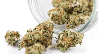 Marijuana buds on white background with jar