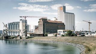 Grieß für die süddeutsche Nudelindustrie ist bisher das Hauptstandbein der Mannheimer Hildebrandmühle.