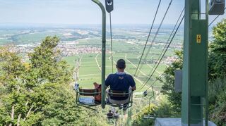 An Tagen mit klarer Sicht geht der Blick bis zu den Bürotürmen in Frankfurt, zum Königstuhl in Heidelberg oder zum Mehliskopf im Nordschwarzwald: die Rietburgbahn oberhalb von Edenkoben.