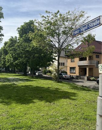 Besondere Grünzone: Blick in die Franz-Sigel-Straße.