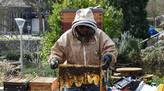 Carolin Deutsch zeigt eine Honigwabe am Bienenkasten im Mannheimer Luisenpark.