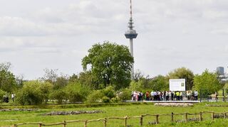 Niedrige Holzzäune, große Schilder, viele Menschen bei der Öffnung des Westteils vom Spinelligelände am Jahrestag der Buga-Eröffnung.