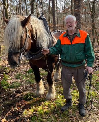 Pferderücker Rudi Bauer und sein Hengst Torry bei der Arbeit im Lampertheimer Stadtwald.