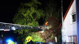 Mithilfe einer großen Leiter musste in Heddesheim eine Baumkrone gesichert werden