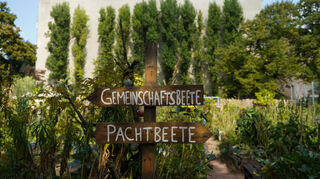 Blick in den Gemeinschaftsgarten „Himmelbeet“ im Berliner Wedding. In Mannheim-Neckarau soll ein solcher Gemeinschaftsgarten auf einer Fläche unweit des Friedhofs bewirtschaftet werden. Foto: Jörg Carstensen/dpa +++ dpa-Bildfunk +++