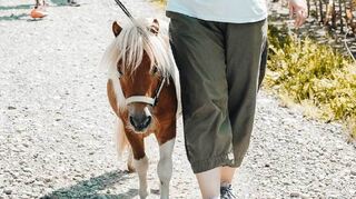 Kleine Hufe, große Abenteuer: Mit Ponys als treue Weggefährten die Natur erleben.