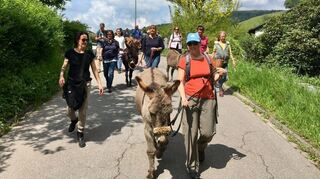 Tierische Ruhepole: Eselwandern als Auszeit vom hektischen Alltag.