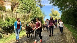 Perfekte Wandergefährten: Geduldige Tiere, die sich dem Tempo ihrer Begleiter anpassen.