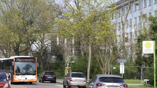 Regelmäßig parken Autofahrer – wie abgebildet – die Schulbushaltestelle in der Belchenstraße zu. Eine deutliche Markierung, dass dies verboten ist, fehlt.