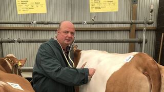 „Mit den allermeisten Tieren habe ich sofort einen ganz engen Kontakt“: Tierarzt Gerd Seemann berät beim Rindergesundheitsdienst Landwirte.