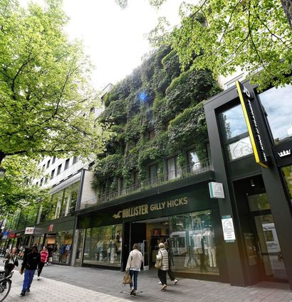 Ein Vorbild für zukünftige Projekte dieser Art in der Innenstadt? Die Fassadenbegrünung in O 7 auf den Planken.