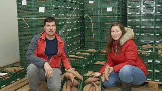 Bis zu 100 Tonnen Süßkartoffeln produzieren Konstanze und Ciprian Pantiru mit ihrem Team inzwischen pro Saison.