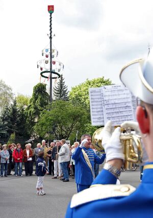 Die Maibaumaufstellung ist ein Highlight in den Mannheimer Nord-Stadtteilen.