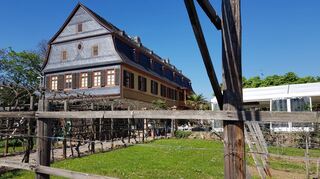 Malerisches Zeugnis vergangener Zeit: das Brentano-Haus in Oestrich Winkel mit Rebengang und Wiese.
