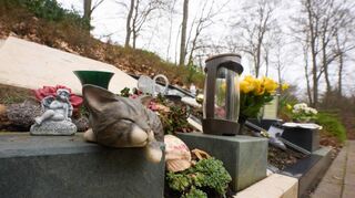 Der Friedhof in Dachsenhausen war der erste, der eine gemeinsame Beerdigung von Menschen und ihren Haustieren erlaubte. Auch in der Region erlauben immer mehr Kommunen diese Form der Bestattung.