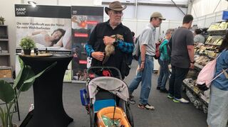 Hat Frettchen im Buggy geladen: Winfried aus Saarlois mit Rambo und Hermes.