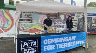 Christian und Adela Schlehuber vom Peta-Streetteam Heidelberg machten während der Maimess auf das Anliegen der Tierrechtsorganisation aufmerksam.