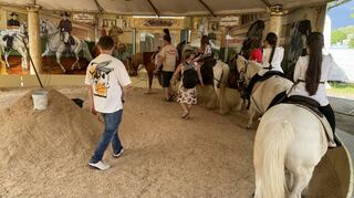 „Welches Pferd ist belastet von denen?“, fragt der Betreiber des Ponykarussells auf der Mannheimer Maimess, das für Kritik bei Tierschützern sorgt.